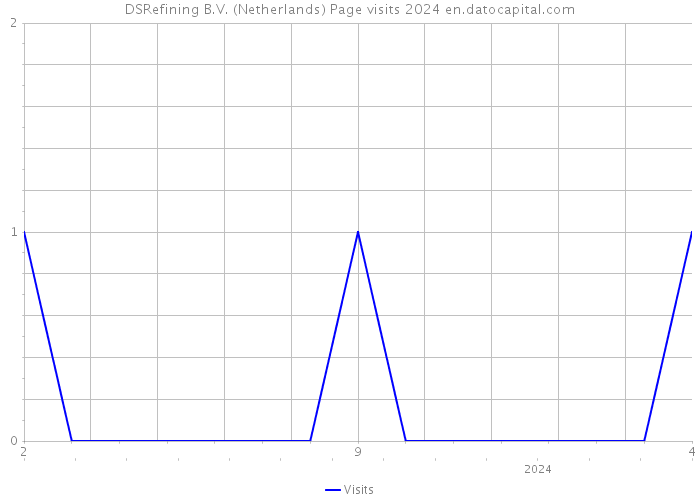 DSRefining B.V. (Netherlands) Page visits 2024 