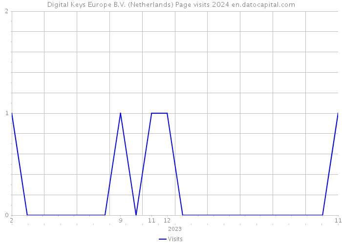 Digital Keys Europe B.V. (Netherlands) Page visits 2024 