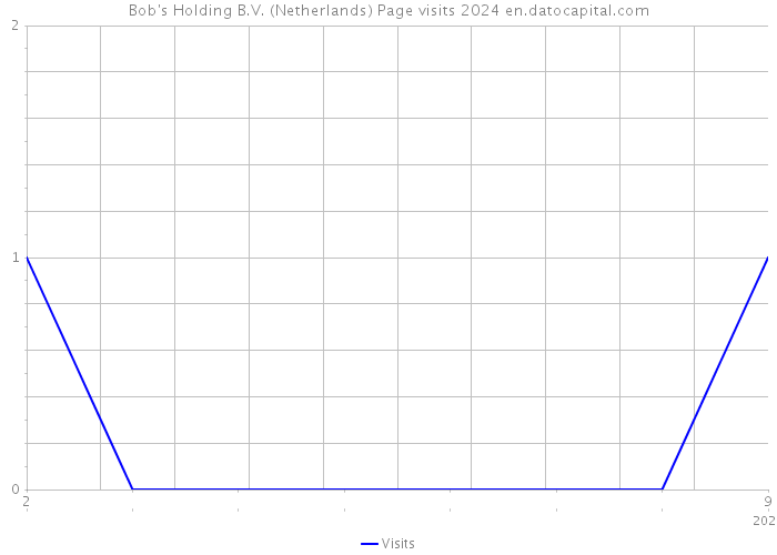 Bob's Holding B.V. (Netherlands) Page visits 2024 