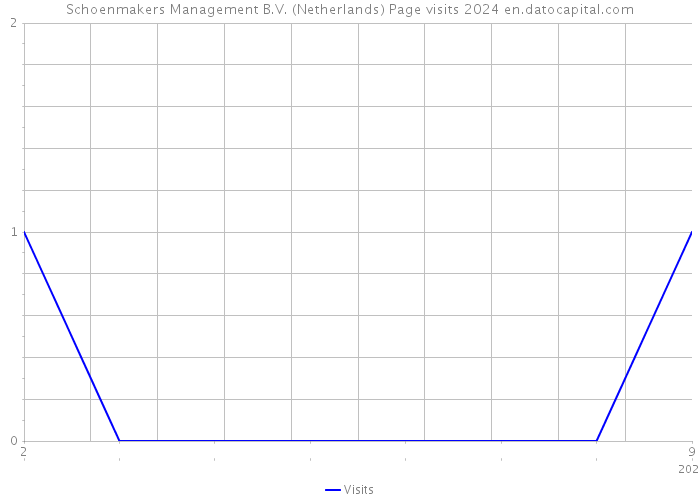 Schoenmakers Management B.V. (Netherlands) Page visits 2024 