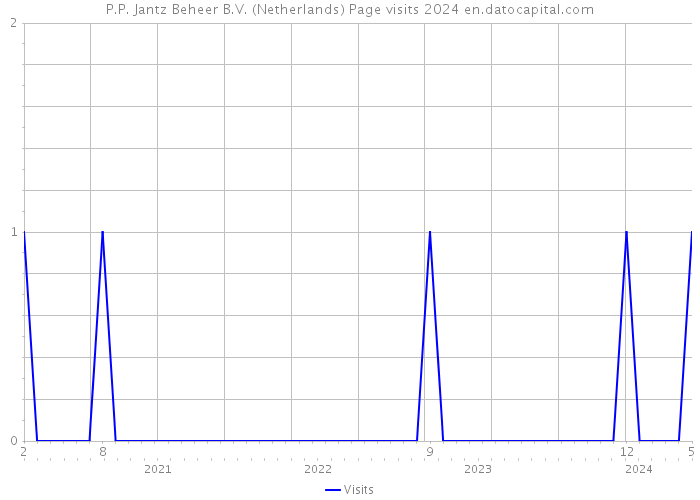 P.P. Jantz Beheer B.V. (Netherlands) Page visits 2024 