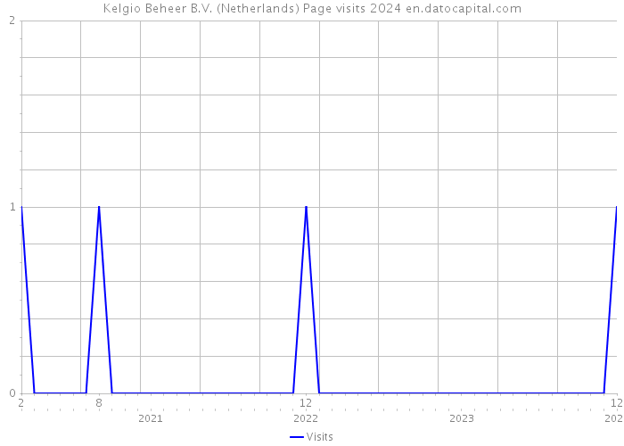 Kelgio Beheer B.V. (Netherlands) Page visits 2024 