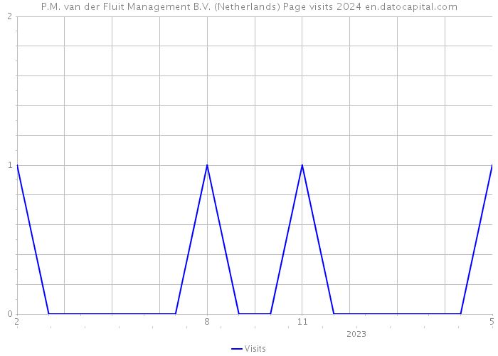 P.M. van der Fluit Management B.V. (Netherlands) Page visits 2024 