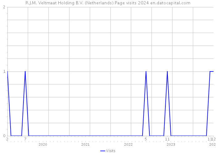 R.J.M. Veltmaat Holding B.V. (Netherlands) Page visits 2024 