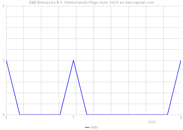 E&E Enterprise B.V. (Netherlands) Page visits 2024 