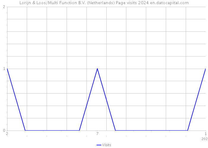 Lorijn & Loos/Multi Function B.V. (Netherlands) Page visits 2024 