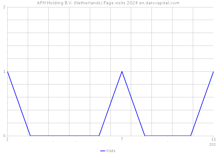 AFH Holding B.V. (Netherlands) Page visits 2024 