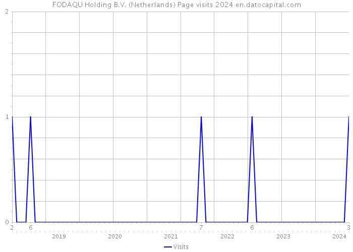 FODAQU Holding B.V. (Netherlands) Page visits 2024 