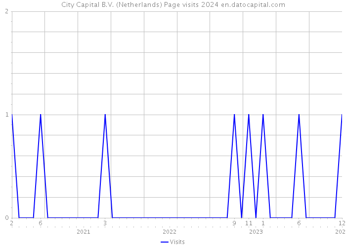 City Capital B.V. (Netherlands) Page visits 2024 