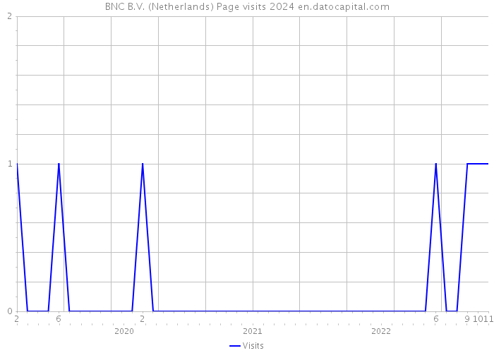 BNC B.V. (Netherlands) Page visits 2024 