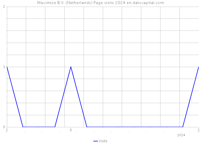 Maximize B.V. (Netherlands) Page visits 2024 