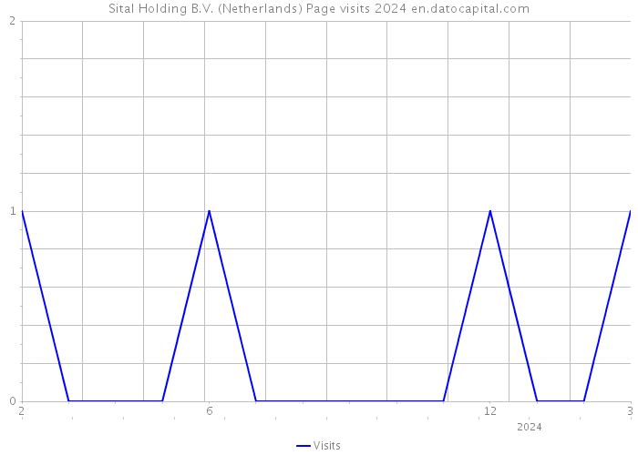 Sital Holding B.V. (Netherlands) Page visits 2024 