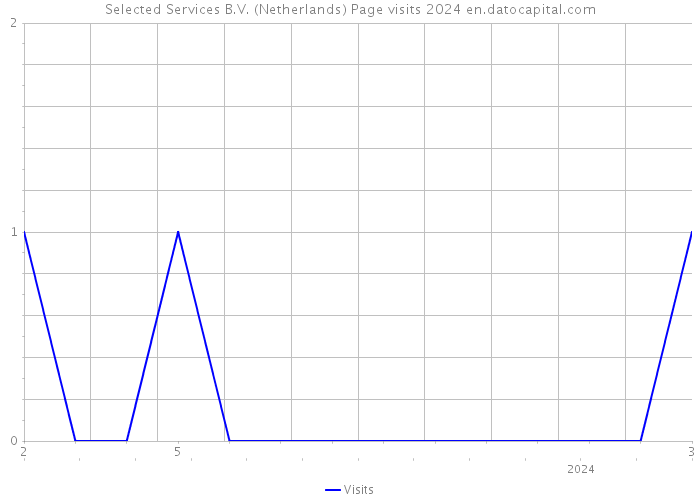 Selected Services B.V. (Netherlands) Page visits 2024 