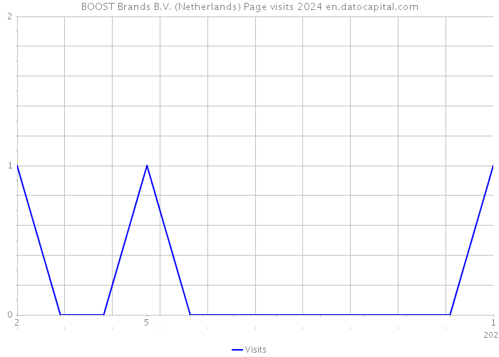 BOOST Brands B.V. (Netherlands) Page visits 2024 