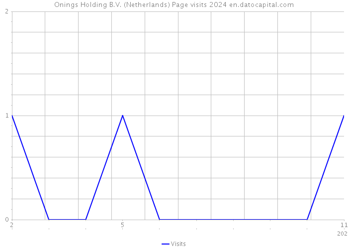Onings Holding B.V. (Netherlands) Page visits 2024 