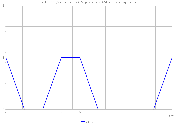 Burbach B.V. (Netherlands) Page visits 2024 