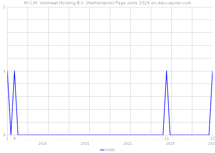 M.G.M. Veltmaat Holding B.V. (Netherlands) Page visits 2024 