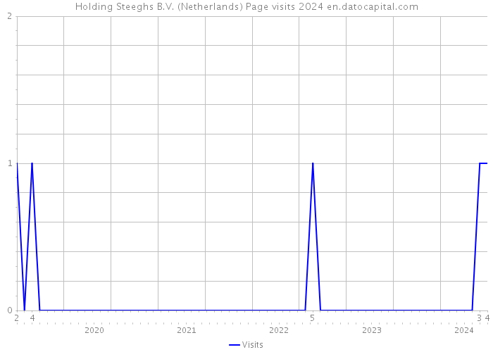 Holding Steeghs B.V. (Netherlands) Page visits 2024 