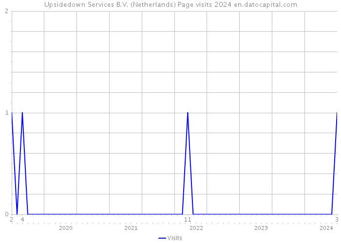 Upsidedown Services B.V. (Netherlands) Page visits 2024 