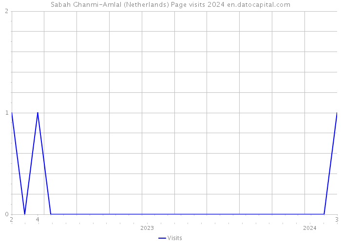 Sabah Ghanmi-Amlal (Netherlands) Page visits 2024 