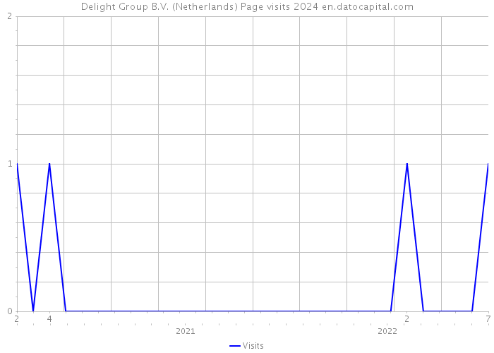 Delight Group B.V. (Netherlands) Page visits 2024 