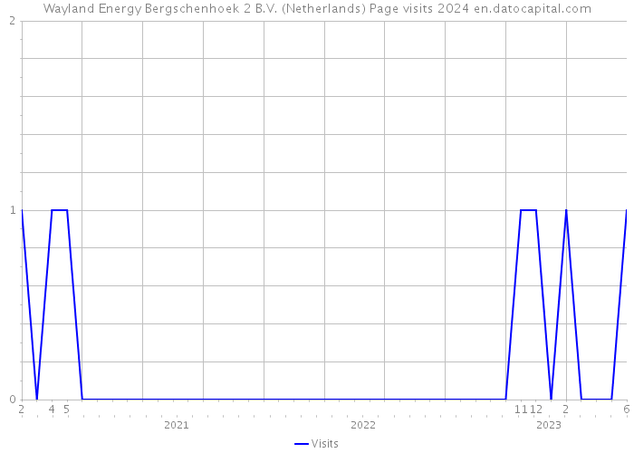 Wayland Energy Bergschenhoek 2 B.V. (Netherlands) Page visits 2024 