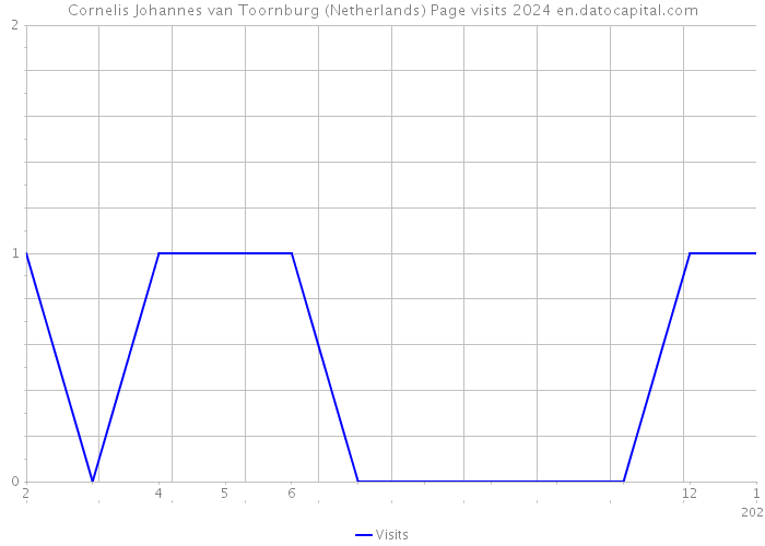 Cornelis Johannes van Toornburg (Netherlands) Page visits 2024 