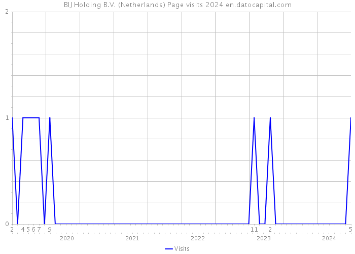 BIJ Holding B.V. (Netherlands) Page visits 2024 