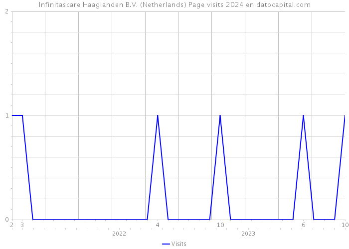Infinitascare Haaglanden B.V. (Netherlands) Page visits 2024 