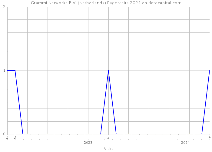 Grammi Networks B.V. (Netherlands) Page visits 2024 