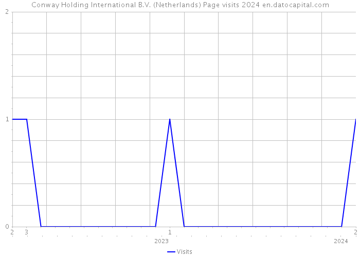 Conway Holding International B.V. (Netherlands) Page visits 2024 