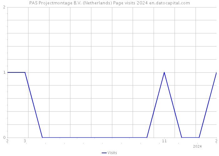 PAS Projectmontage B.V. (Netherlands) Page visits 2024 