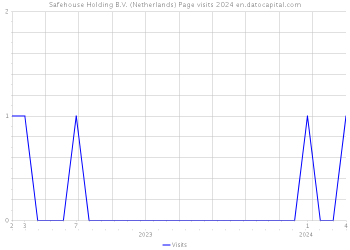 Safehouse Holding B.V. (Netherlands) Page visits 2024 