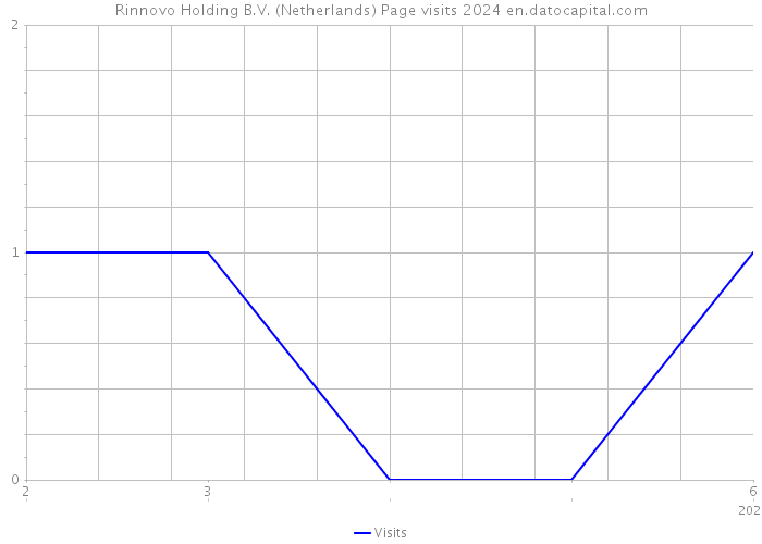 Rinnovo Holding B.V. (Netherlands) Page visits 2024 