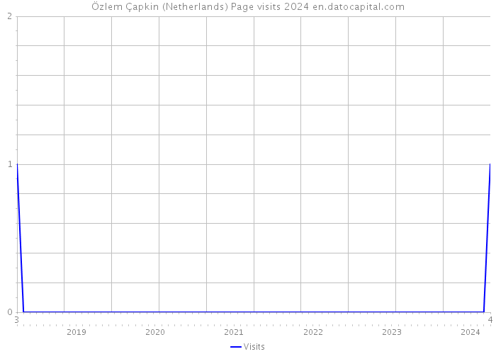 Özlem Çapkin (Netherlands) Page visits 2024 
