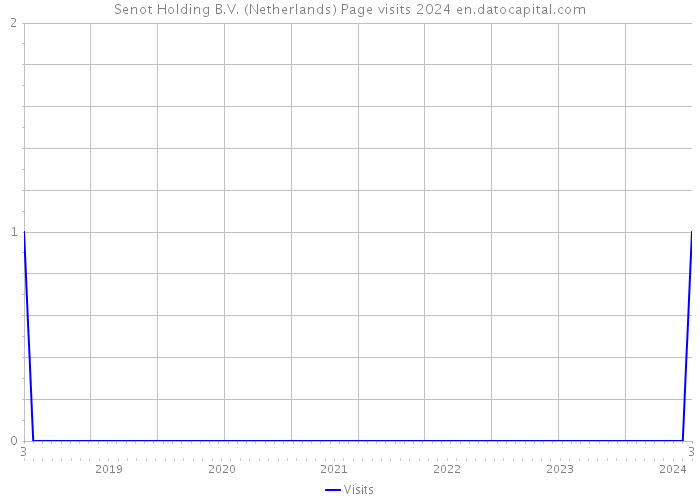 Senot Holding B.V. (Netherlands) Page visits 2024 