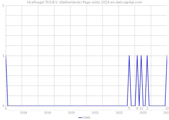 Hoefnagel TKS B.V. (Netherlands) Page visits 2024 