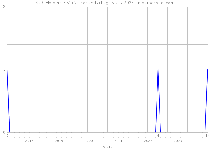 KaRi Holding B.V. (Netherlands) Page visits 2024 