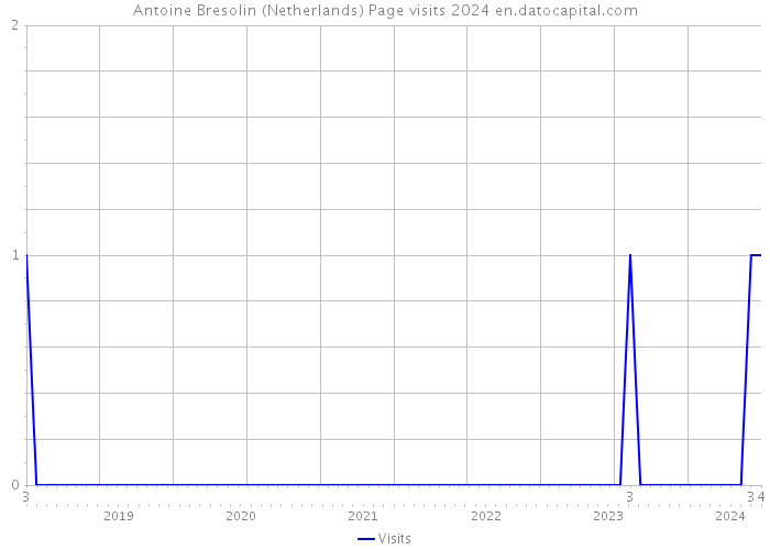 Antoine Bresolin (Netherlands) Page visits 2024 