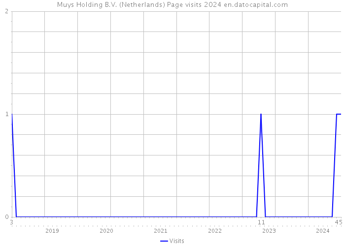 Muys Holding B.V. (Netherlands) Page visits 2024 