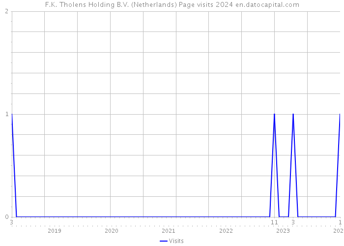 F.K. Tholens Holding B.V. (Netherlands) Page visits 2024 