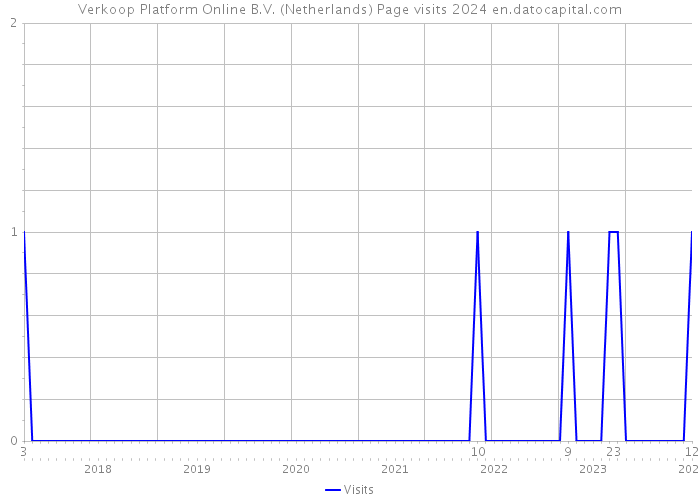 Verkoop Platform Online B.V. (Netherlands) Page visits 2024 