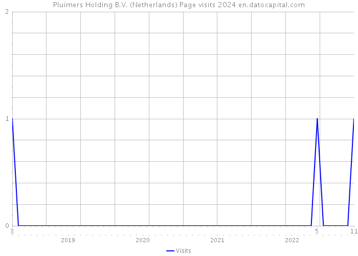 Pluimers Holding B.V. (Netherlands) Page visits 2024 