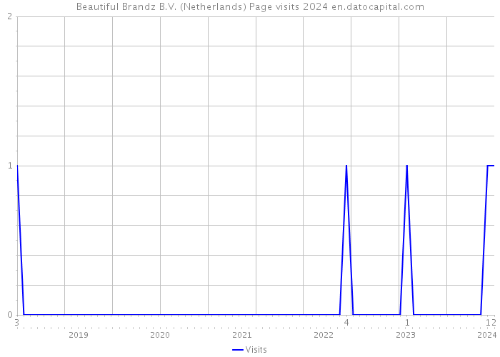 Beautiful Brandz B.V. (Netherlands) Page visits 2024 