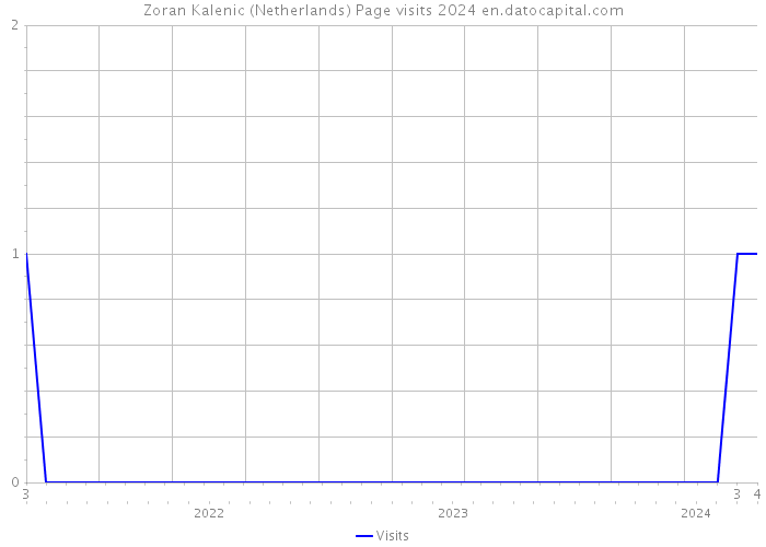 Zoran Kalenic (Netherlands) Page visits 2024 