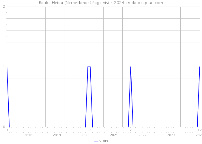 Bauke Heida (Netherlands) Page visits 2024 