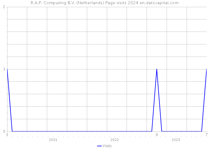 R.A.P. Computing B.V. (Netherlands) Page visits 2024 