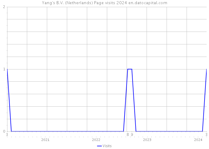 Yang's B.V. (Netherlands) Page visits 2024 