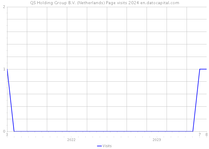 QS Holding Group B.V. (Netherlands) Page visits 2024 