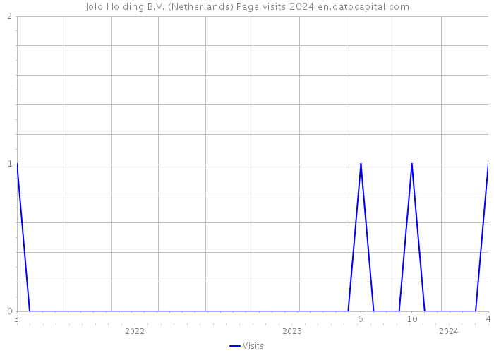 Jolo Holding B.V. (Netherlands) Page visits 2024 